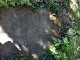 image of grave number 761278
